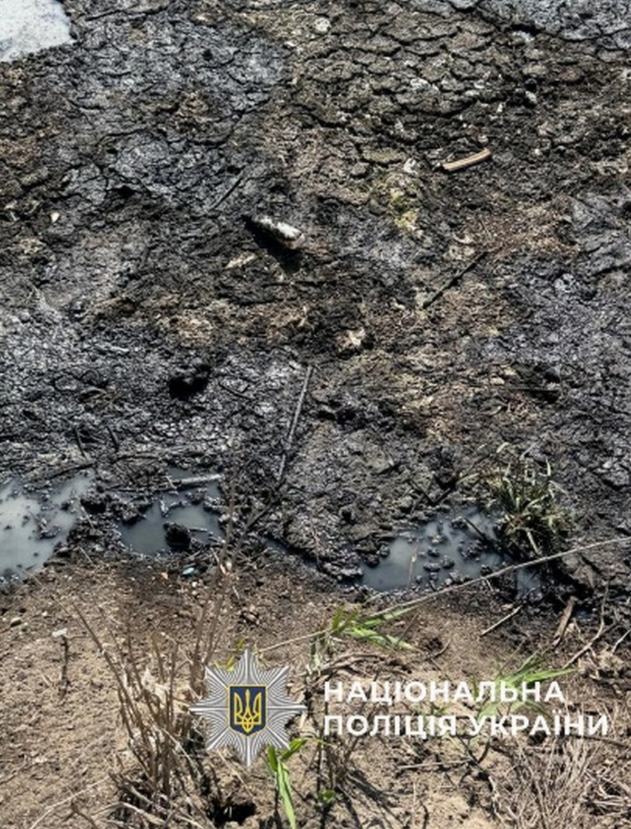 Суд в Ізмаїлі виніс вирок колишньому директору підприємства за порушення правил екологічної безпеки