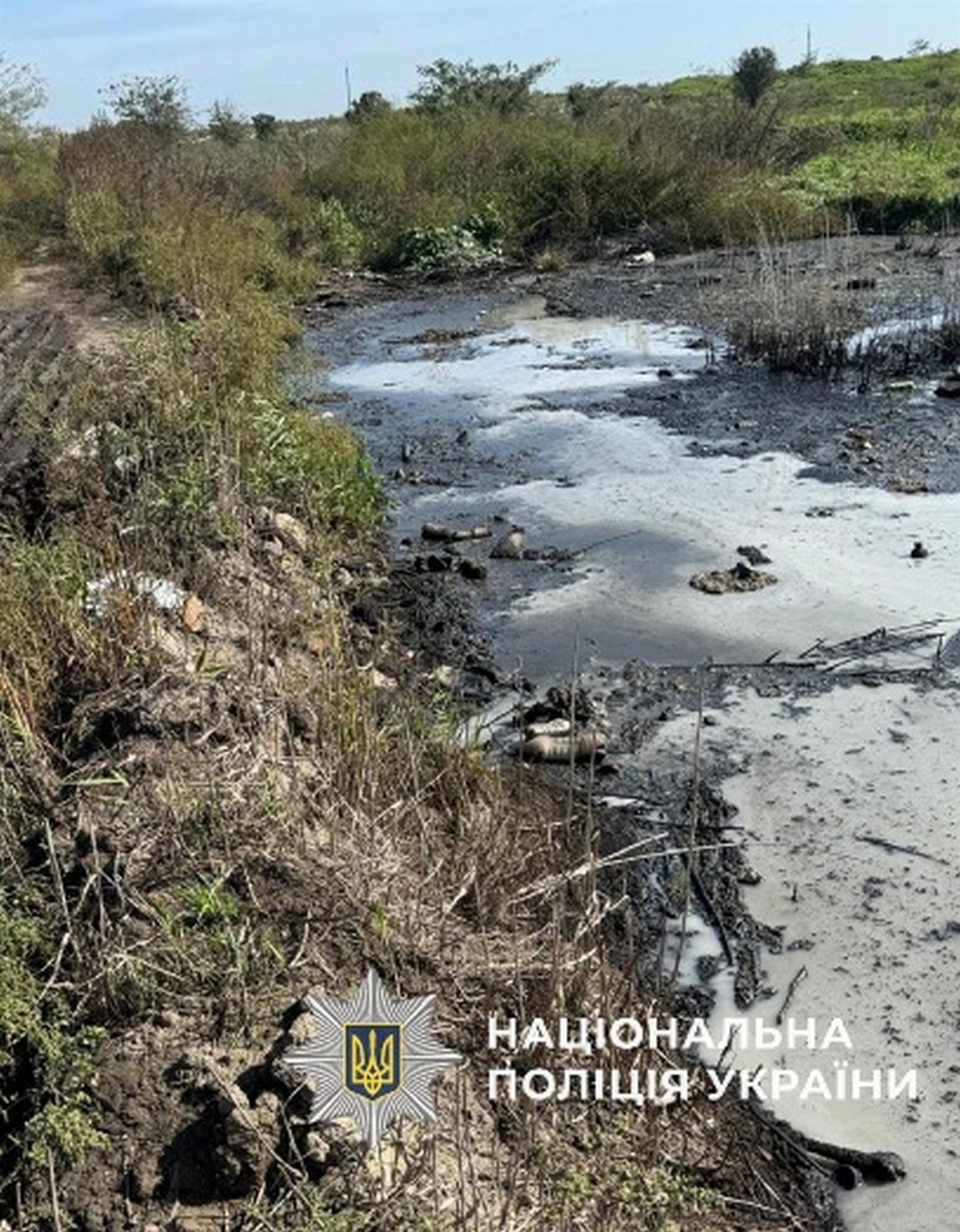 Суд в Ізмаїлі виніс вирок колишньому директору підприємства за порушення правил екологічної безпеки