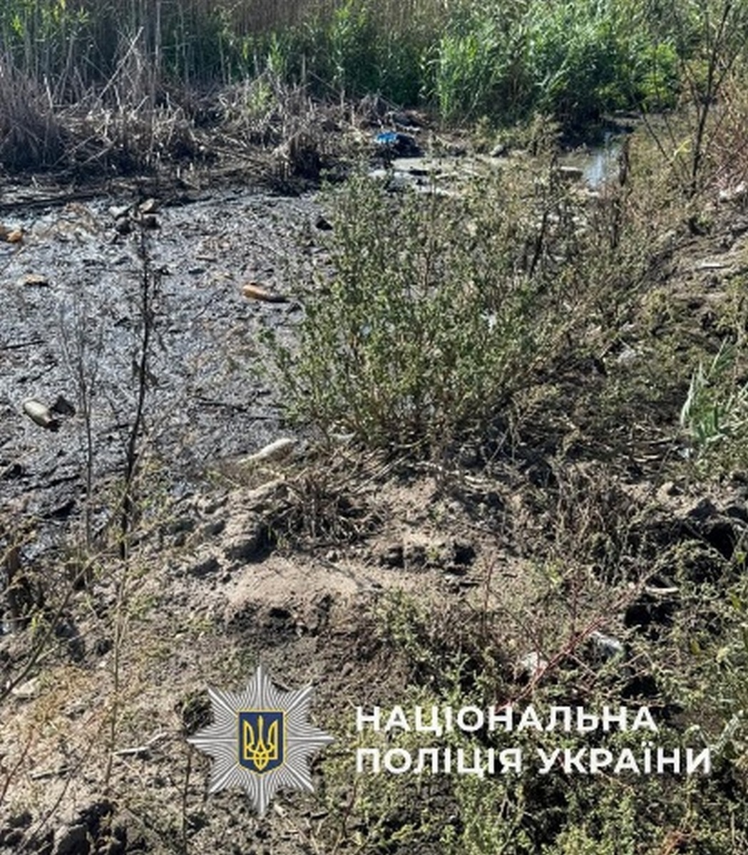 Суд в Ізмаїлі виніс вирок колишньому директору підприємства за порушення правил екологічної безпеки