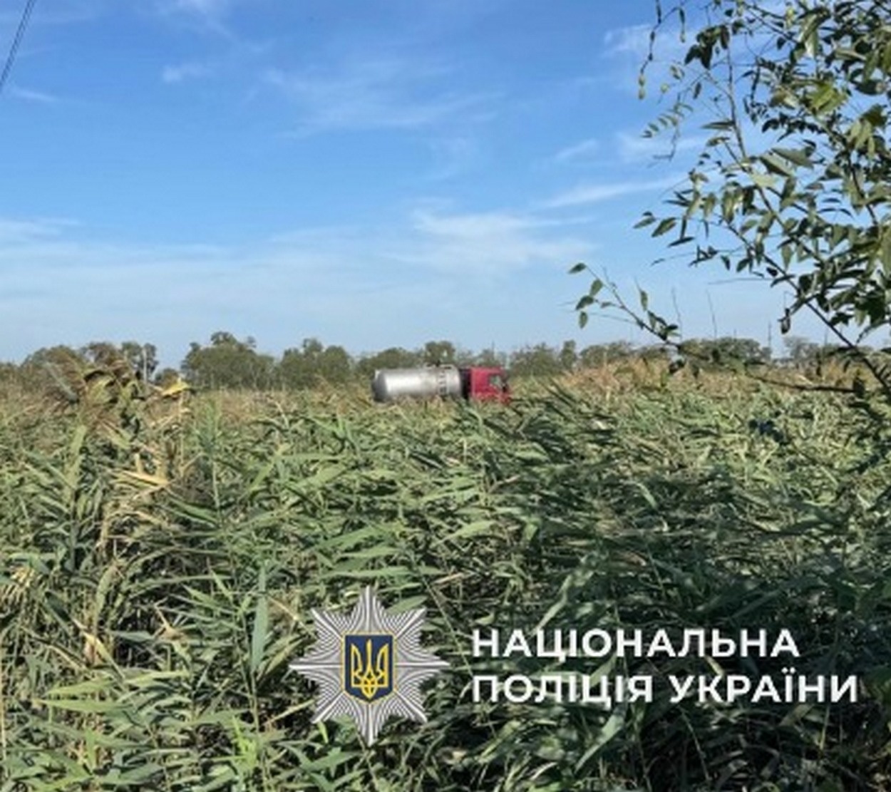 Суд в Ізмаїлі виніс вирок колишньому директору підприємства за порушення правил екологічної безпеки