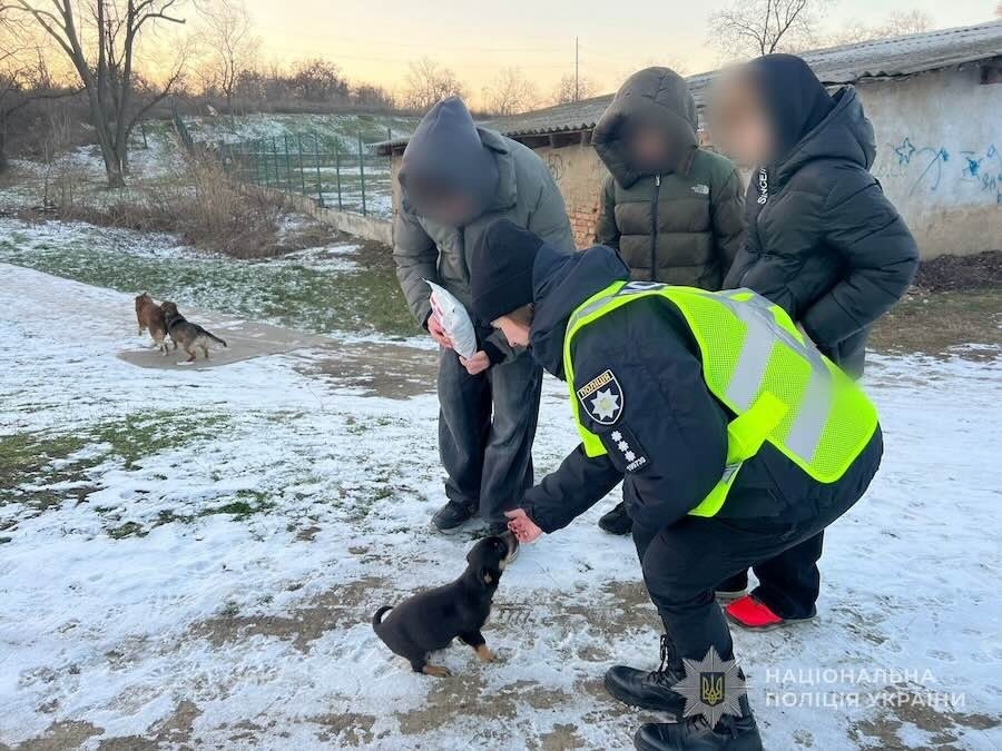 В Ізмаїлі поліцейські залучили дітей до годування бездомних котів і собак