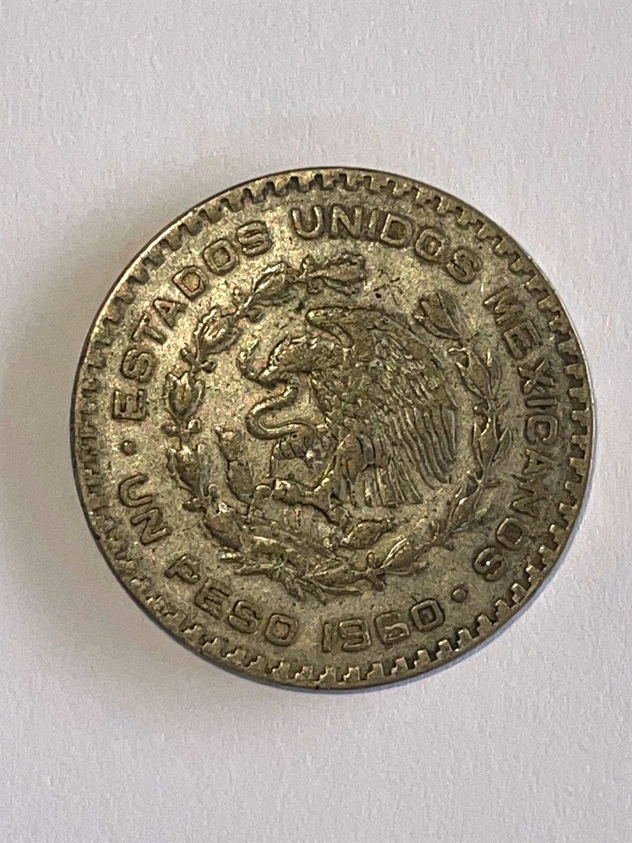 Скарб на кордоні: ізмаїльські прикордонники виявили приховану колекцію старовинних монет