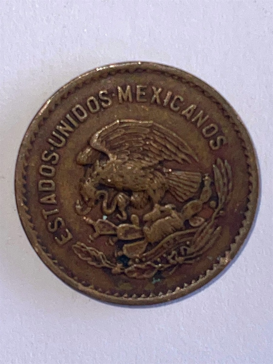 Скарб на кордоні: ізмаїльські прикордонники виявили приховану колекцію старовинних монет