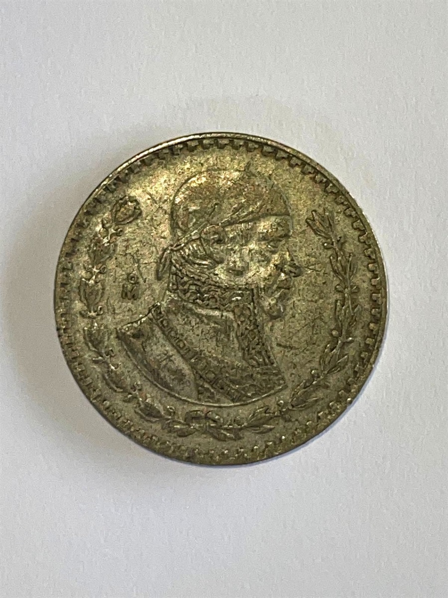 Скарб на кордоні: ізмаїльські прикордонники виявили приховану колекцію старовинних монет