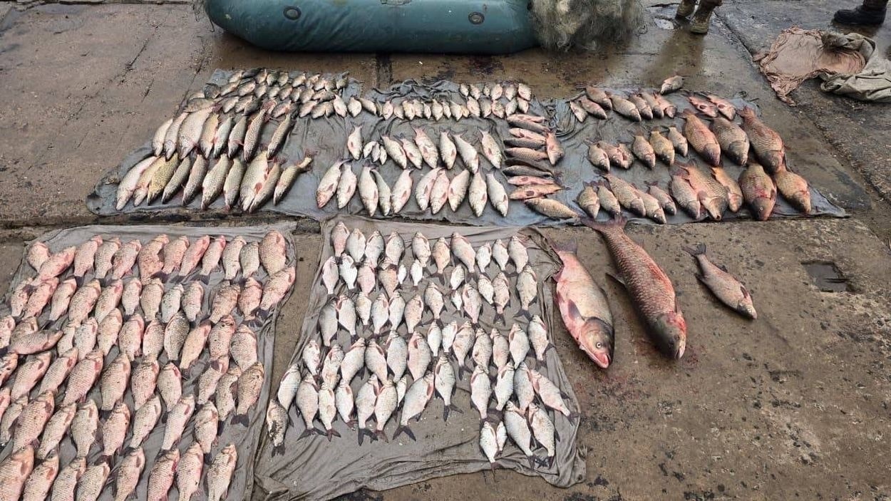 На озері Кагул ізмаїльські прикордонники заскочили громадянина Молдови