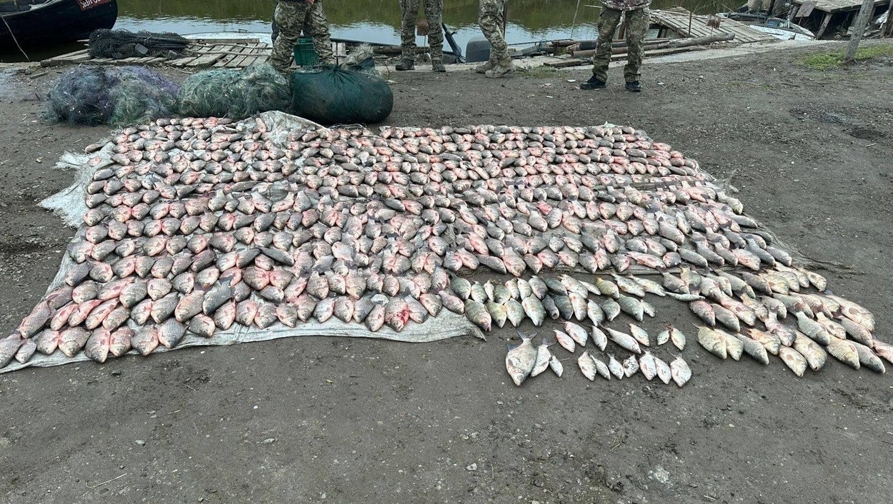 Ізмаїльські прикордонники за добу затримали браконьєрів із загальним уловом на 2,5 мільйони гривень