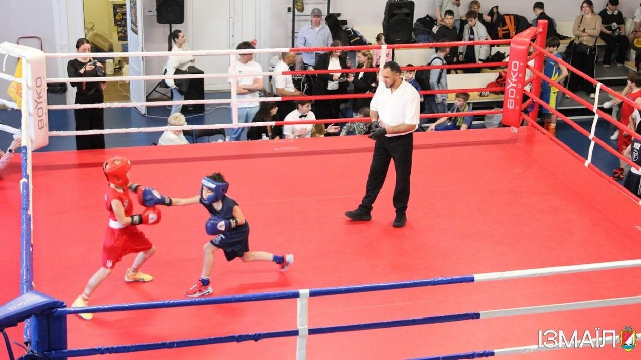 В Ізмаїлі визначили переможців на турнірі з боксу, вільної боротьби та волейболу