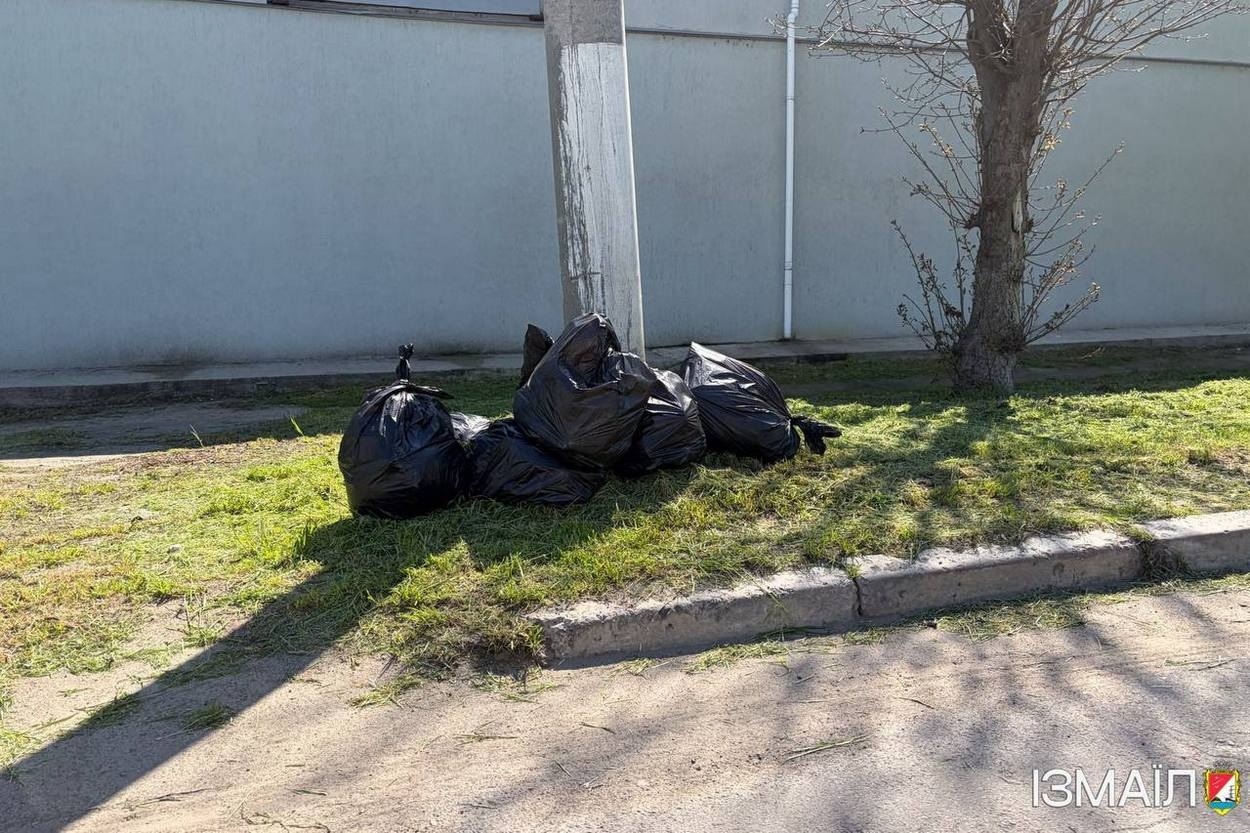 Ізмаїл долучився до відзначення Дня довкілля в Україні