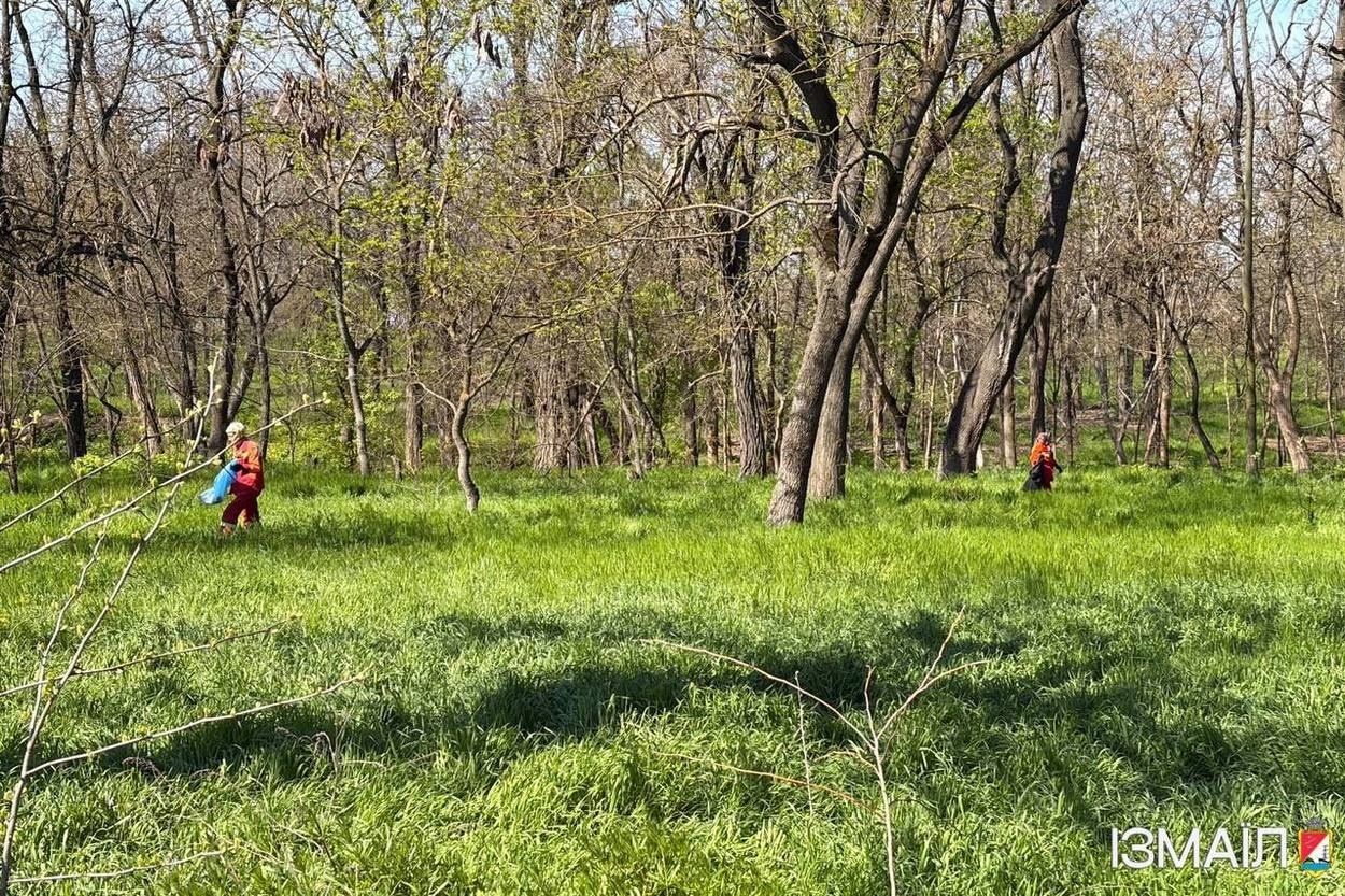 Ізмаїл долучився до відзначення Дня довкілля в Україні